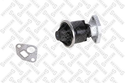 EGR Valve STELLOX 01-25234-SX