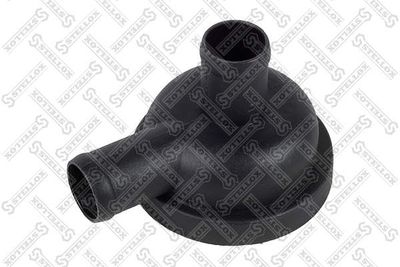EGR Valve STELLOX 01-25255-SX