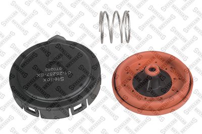 EGR Valve STELLOX 01-25257-SX