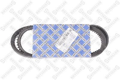 V-Belt STELLOX 01-31125-SX