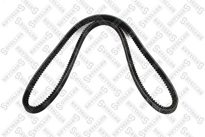 V-Belt STELLOX 01-31184-SX