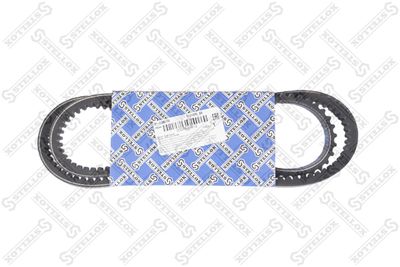 V-Belt STELLOX 01-31225-SX