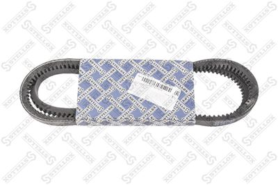 V-Belt STELLOX 01-31300-SX