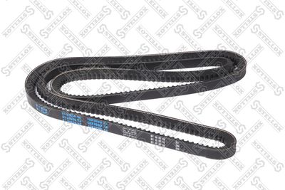 V-Belt STELLOX 01-31650-SX