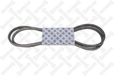 V-Belt STELLOX 01-31950-SX