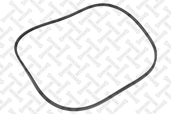 STELLOX 02-00800-SX V-ribbed Belt