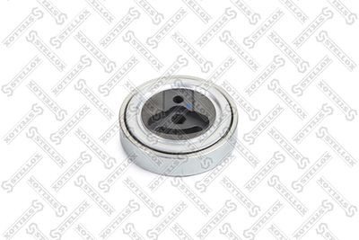Tensioner Pulley, V-ribbed belt STELLOX 03-40979-SX