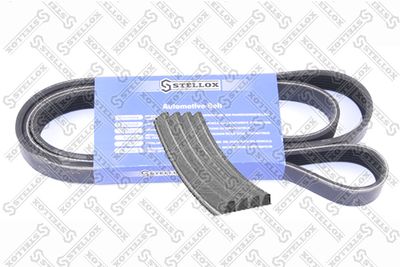 V-Ribbed Belt STELLOX 04-00820-SX
