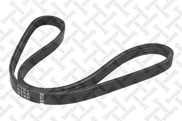 STELLOX 04-00867-SX V-ribbed Belt