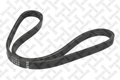 V-ribbed Belt STELLOX 04-00867-SX