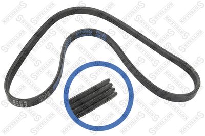 V-ribbed Belt STELLOX 04-00922-SX