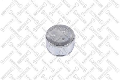 Piston, brake caliper STELLOX 04-98318-SX