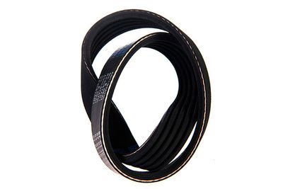 V-ribbed Belt STELLOX 05-00491-SX
