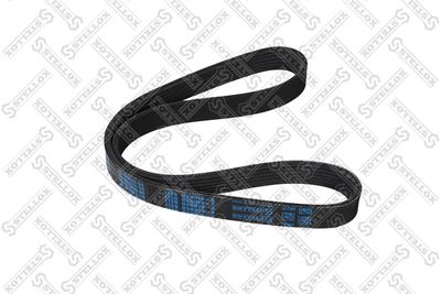 V-Ribbed Belt STELLOX 06-00810-SX