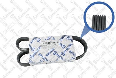 V-ribbed Belt STELLOX 06-00870-SX