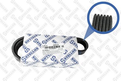 V-Ribbed Belt STELLOX 06-00873-SX