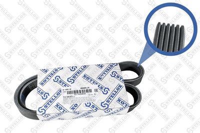 V-Ribbed Belt STELLOX 06-00950-SX