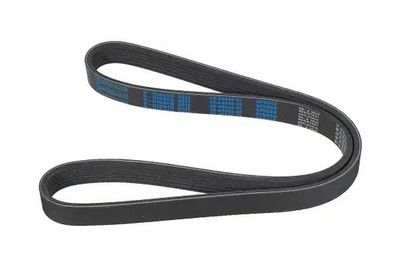 V-ribbed Belt STELLOX 06-00986-SX