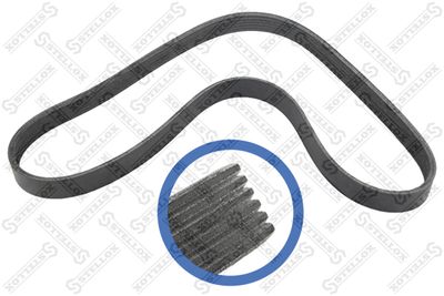V-Ribbed Belt STELLOX 06-01019-SX