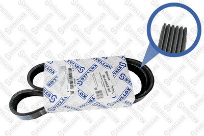 V-ribbed Belt STELLOX 06-01042-SX