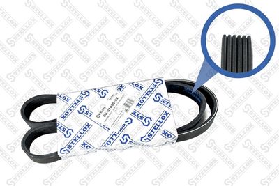 V-Ribbed Belt STELLOX 06-01060-SX