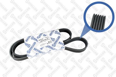 V-Ribbed Belt STELLOX 06-01195-SX