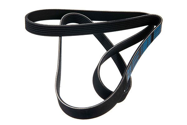 STELLOX 06-01580-SX V-ribbed Belt