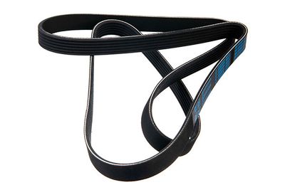 V-ribbed Belt STELLOX 06-01580-SX