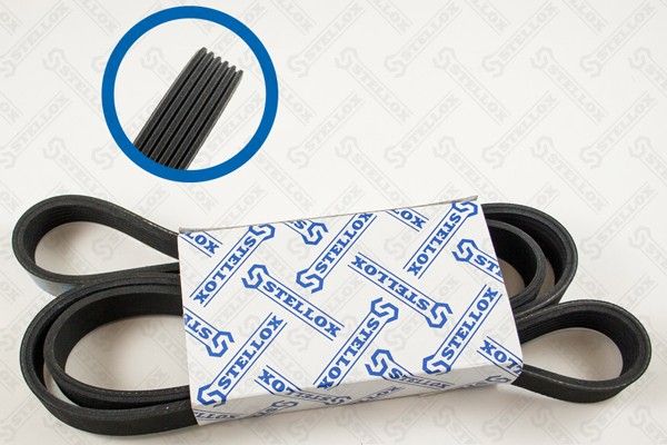 STELLOX 06-01685-SX V-ribbed Belt