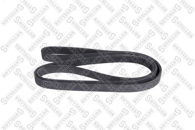 V-ribbed Belt STELLOX 06-01823-SX