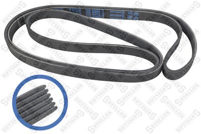 V-Ribbed Belt STELLOX 06-02260-SX