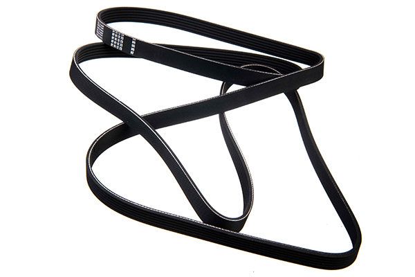STELLOX 06-02498-SX V-ribbed Belt