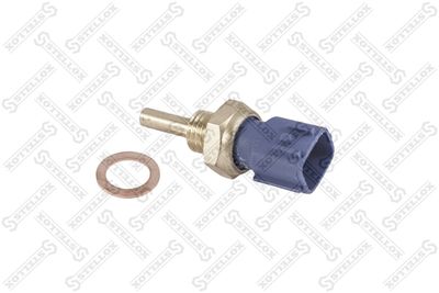 Sensor, coolant temperature STELLOX 06-04022-SX
