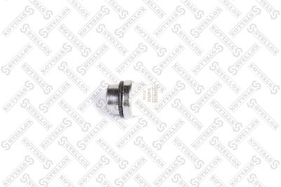 Sensor, coolant temperature STELLOX 06-04078-SX