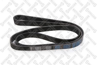 V-Ribbed Belt STELLOX 07-01705-SX