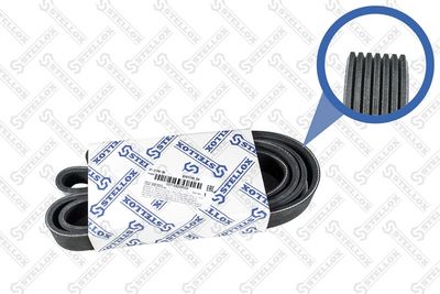 V-Ribbed Belt STELLOX 07-01749-SX