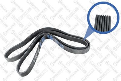 V-Ribbed Belt STELLOX 07-01910-SX