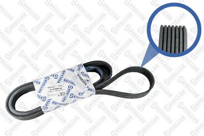 V-Ribbed Belt STELLOX 07-02060-SX