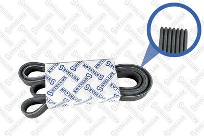 V-Ribbed Belt STELLOX 07-02120-SX