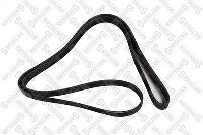 V-Ribbed Belt STELLOX 07-02250-SX