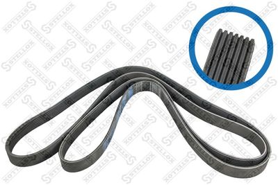 V-Ribbed Belt STELLOX 07-02682-SX