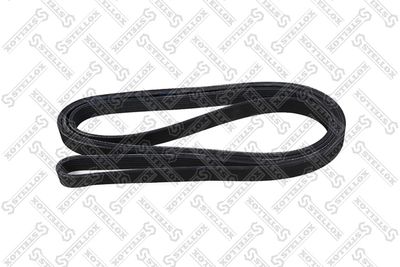 V-ribbed Belt STELLOX 07-02967-SX