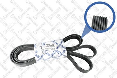 V-Ribbed Belt STELLOX 07-03170-SX