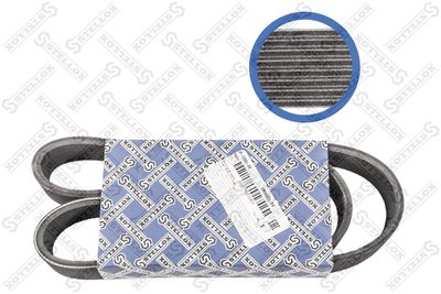 V-Ribbed Belt STELLOX 08-00955-SX