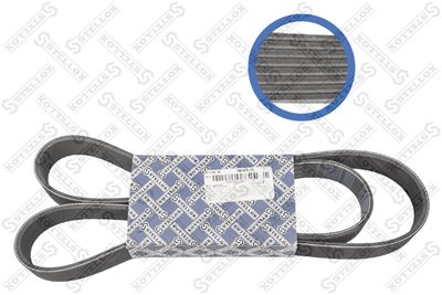 V-Ribbed Belt STELLOX 08-01435-SX