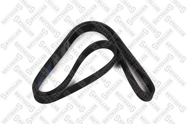 STELLOX 08-01550-SX V-Ribbed Belt