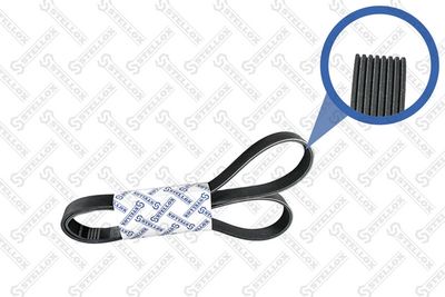 V-Ribbed Belt STELLOX 08-01635-SX