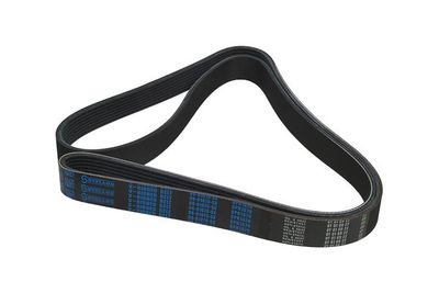 V-Ribbed Belt STELLOX 08-01670-SX
