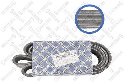 V-Ribbed Belt STELLOX 08-01795-SX