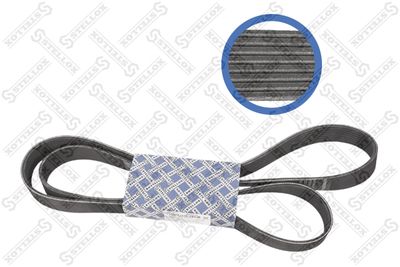 V-Ribbed Belt STELLOX 08-01910-SX